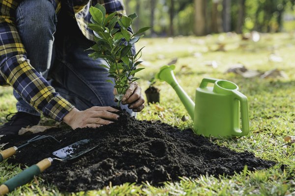Quels sont les secrets pour organiser un pique-nique zéro déchet ?